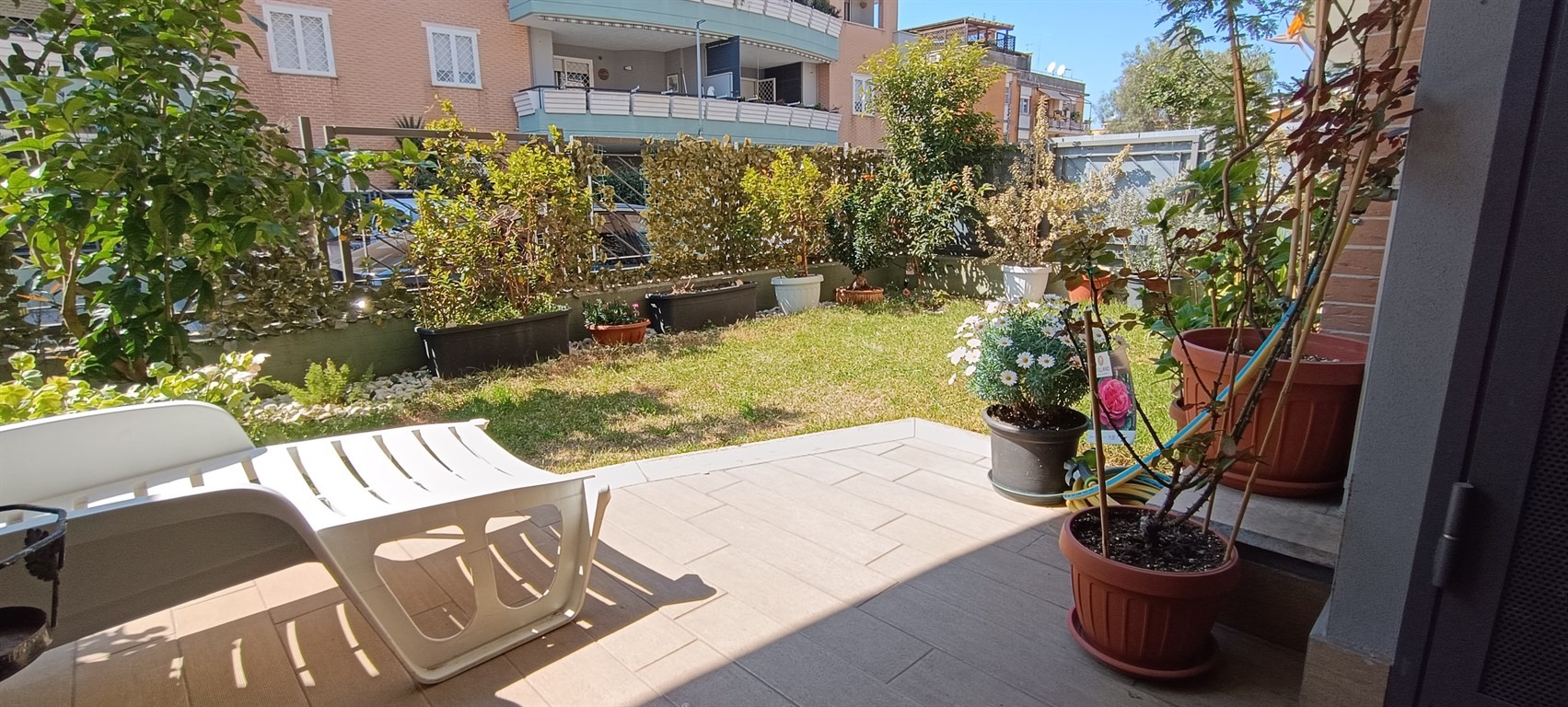 dragona recente costruzione